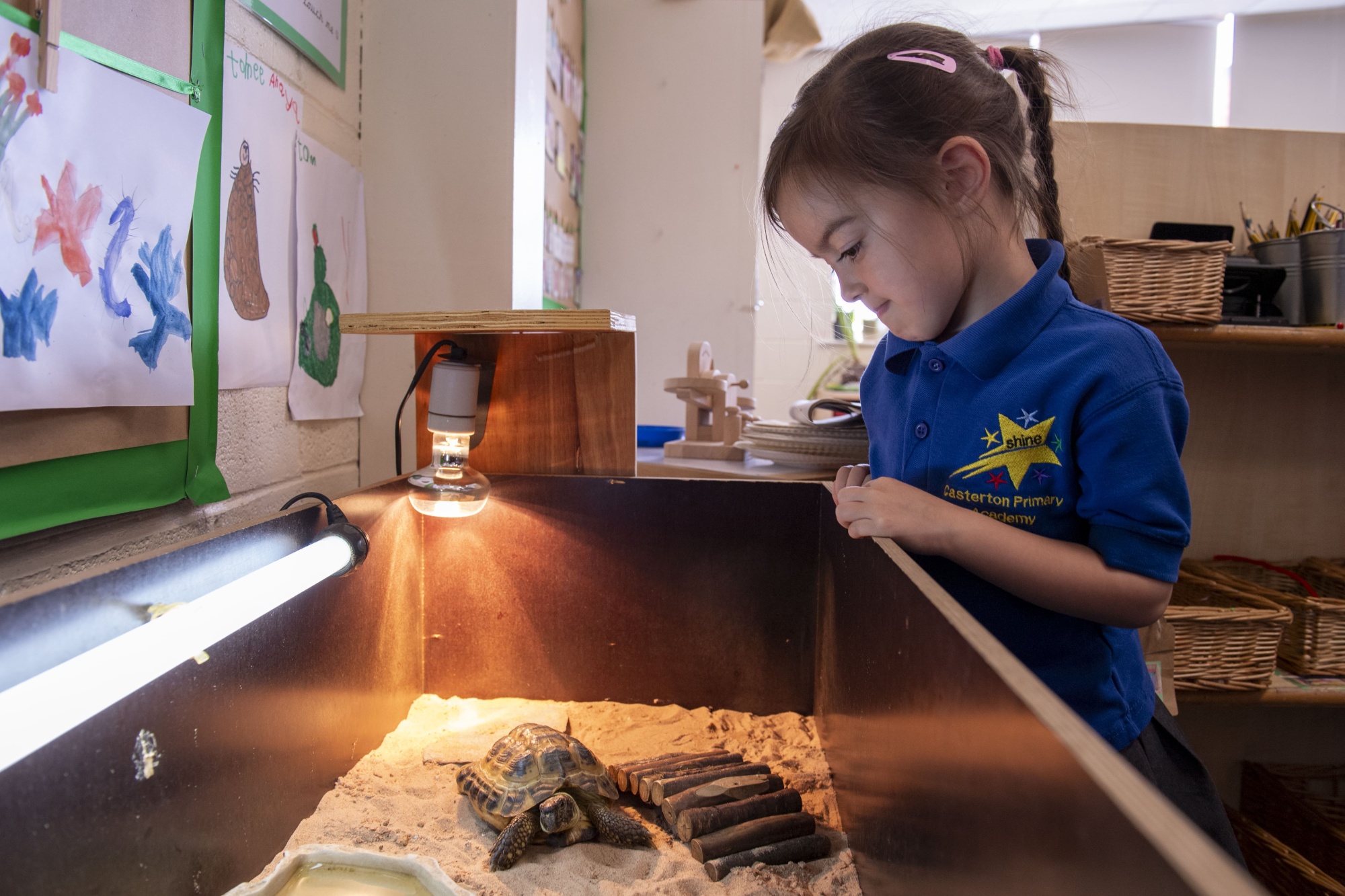 A girl in Casterton uniform looking at a turtle under a light in its enclosure