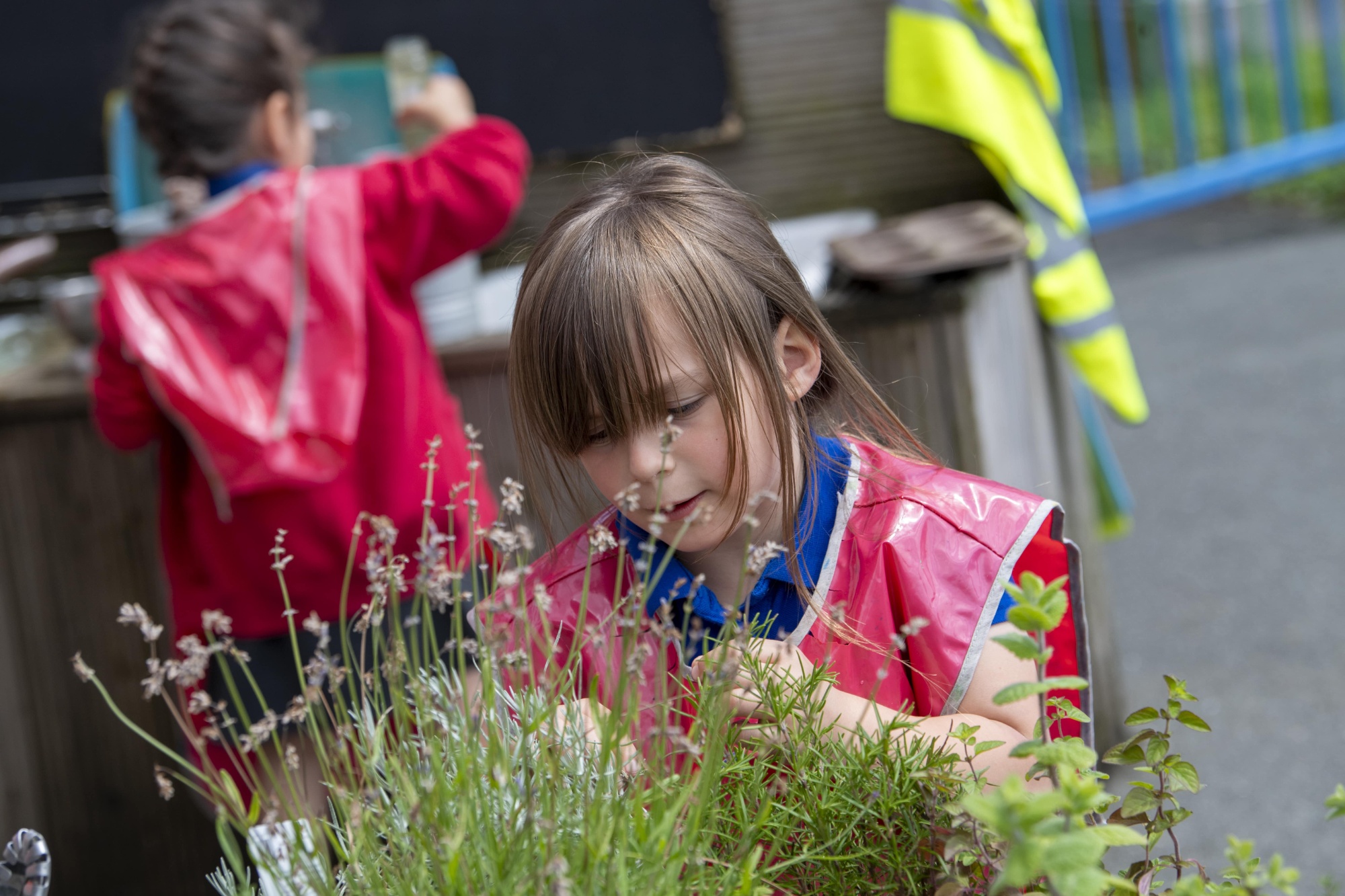 A girl picking herbs in the school garden